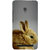 Snapdilla Grey Background Cool Attractive Adorable Cute Rabbit  Squirrel Phone Case For Asus Zenfone 5