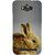 Snapdilla Grey Background Cool Attractive Adorable Cute Rabbit  Squirrel Phone Case For Asus Zenfone Max