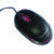QHM Mouse 222