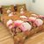 Angiela Home Fab Floral Two Double bedsheet with 4 pillow