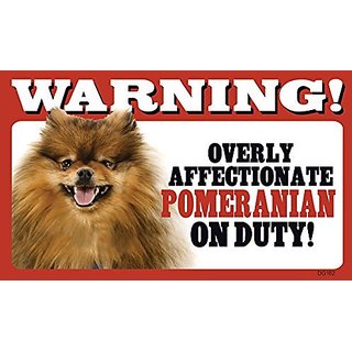 are pomeranians affectionate