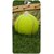 Fuson Designer Phone Back Case Cover Coolpad Max ( Tennis Is Passion )
