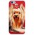 Fuson Designer Phone Back Case Cover Apple iPhone 6 Plus :: Apple iPhone 6+ ( Cute Dog With Hair-Tie )