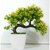 Green plant indoor artificial Bonsai tree