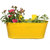 Trust Basket Set of 4 - Oval railing planter - (MAGENTA,BLUE, RED and YELLOW)