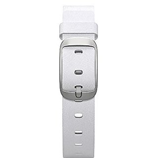 Pebble technology corp 2025