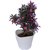 Ahana Creations Bonsai Wild Artificial Plant With Pot (20 Cm, Multicolor)