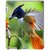 Fuson Designer Phone Back Case Cover Apple IPad 2 :: Apple IPad 3 :: Apple IPad 4 ( Bird Feeding Its Young )