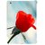 Fuson Designer Phone Back Case Cover Apple IPad Mini 2 :: Apple IPad Mini 2 Wi-Fi + Cellular (3G/LTE); Apple IPad Mini 2 Wi-Fi (Wi-Fi, W/O GPS) ( One Single Red Rose )
