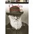 Shopperszones Dk Biography Charles Darwin English Paper Back