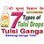 Satrangi Tulsi Ganga Tulsi Drops 20ML