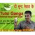 Satrangi Ganga Tulsi Drops 20ML