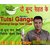Satrangi Ganga Tulsi Drops 20ML