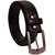 Elligator 2 Belt With Full Uv Protection Spartitate Sunglass