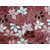 Fleece Blankets