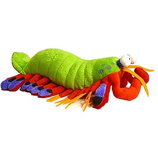 mantis shrimp stuffed animal