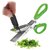 5 blade Herbs Scissor for Kitchen