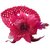 AkinosKIDS Newborn Beautiful Fuschia Pink Feather Lace Flower soft crochet Headband attached alligator clip.Hair Accessory