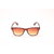 CB101C4 Glitters Brown Wayfarer Sunglasses