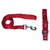 PETHUB High Quality and Standard Collar And Leash Without Padding -Medium-Red