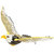 PTCMART eagle fly