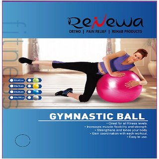 Renewa Anti Burst Gym Ball With Foot Pump 100Cm (Silver)