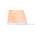 LEADING LADY PANTY PACK OF 3PC