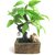Artificial Bonsai Wild Plant with Marble Base