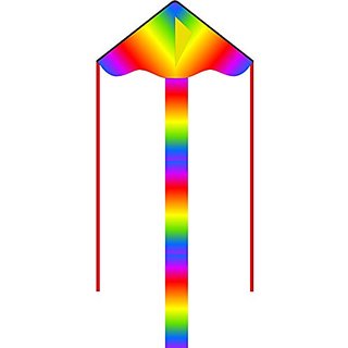 HQ Kites Eco Line: Simple Flyer Radiant Rainbow 33