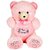 Jumbo Teddy - 30 inch (Pink)