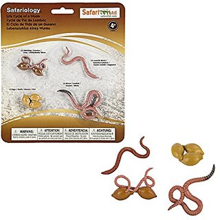 Buy Safari Ltd Life Cycle of a Worm Online @ ₹1993 from ShopClues