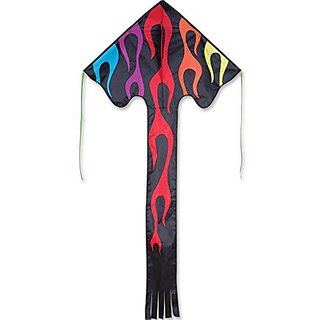 Large Easy Flyer - Rainbow Flames