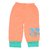 Arohi Kids World's Multicolor Kids Track Pant With Rip (Set Of 5)