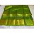 Parrot Green Tussar Silk Sarees with a running blouse and an extra brocade blouse