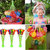 Ben 10 Holi Magic Balloon Bunch 111 Pc Auto fill (3 sets of 37 balloons)  With 4 Ben 10 Gulal