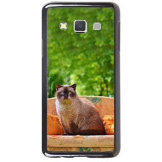 Fuson Designer Phone Back Case Cover Samsung Galaxy A5 ( Cat Sitting On A Sofa )