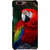 Ifasho Designer Back Case Cover For Huawei Honor 8 (Macau Bird Macaque Maxico America)