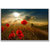 Red Flowers In Sunlight Poster By Artifa