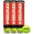 Head HEAD Championship (Pack of 12 Balls per can) Tennis Ball
