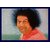 Satya Sai Baba