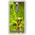 Fuson Designer Phone Back Case Cover Asus Zenfone 2 ( A Fresh Green Plant )