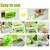 IBS multipurpose handy grator kitchen Top accessories kit vegetable salad maker with 3dscreen Chopper