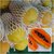 Holland Papaya 10 Seeds, Papaya Fruit Seeds, Thai Plant Garden, Sweet Flesh