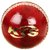 AS - Kashmir Willow Cricket Bat (Full SIze) + Free Leather Ball + Cover
