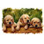 three puppies dog 12 x 18 Inch Laminated Poster