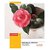Camlin Small Notebook Soft Cover 176 Pages Single line Pack of 15