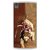 Fuson Designer Phone Back Case Cover OnePlus X ( Maa Bhavani Riding Her Lion )
