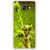 Fuson Designer Phone Back Case Cover Samsung Galaxy A3 (6) 2016 ( A Fresh Green Plant )