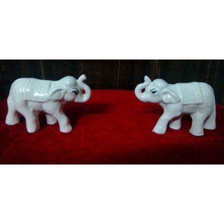                       White Airawat for Good Luck                                              
