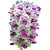 Futaba Orchid Cymbidium seeds - Purple and White - 100 Pcs